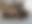 28423842_1668678403198632_3240995791645426075_o