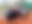 20190908_160550_resized