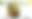 20221013_BKDD_Ehrung_D40