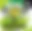 20220319_VPokal_Intro
