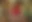 20240425_Challengers_1